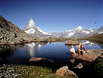 Region Wallis