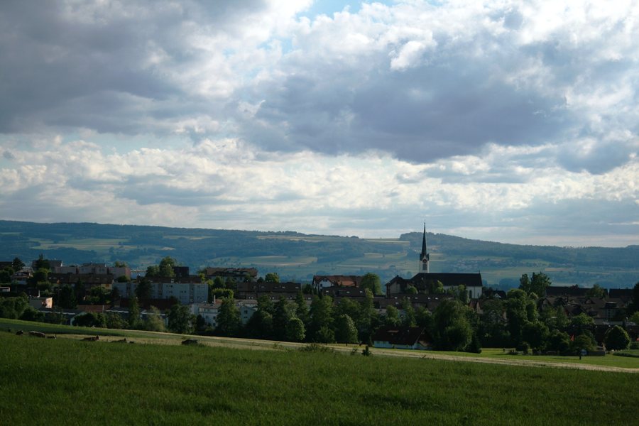 Berikon 7843