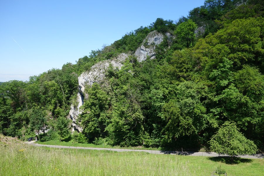 Holi Felse Birseck Arlesheim