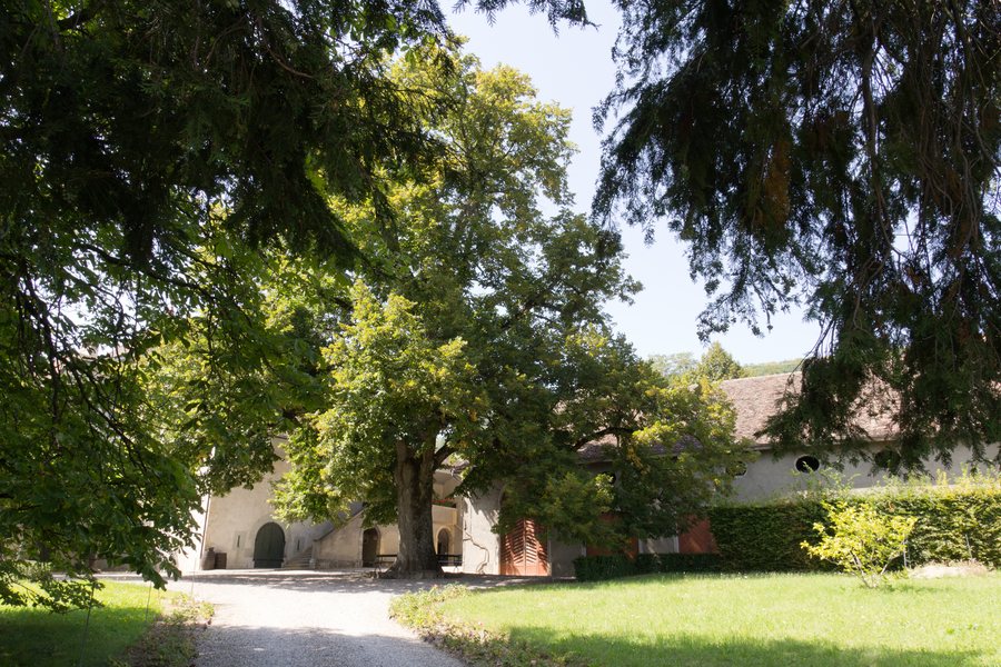 File:Entrée du château de Luins (Suisse).jpg