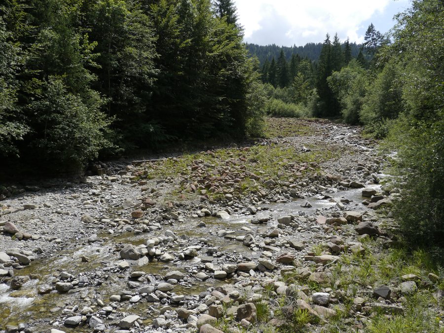File:Aue Heubach Schwarzwasser.jpg