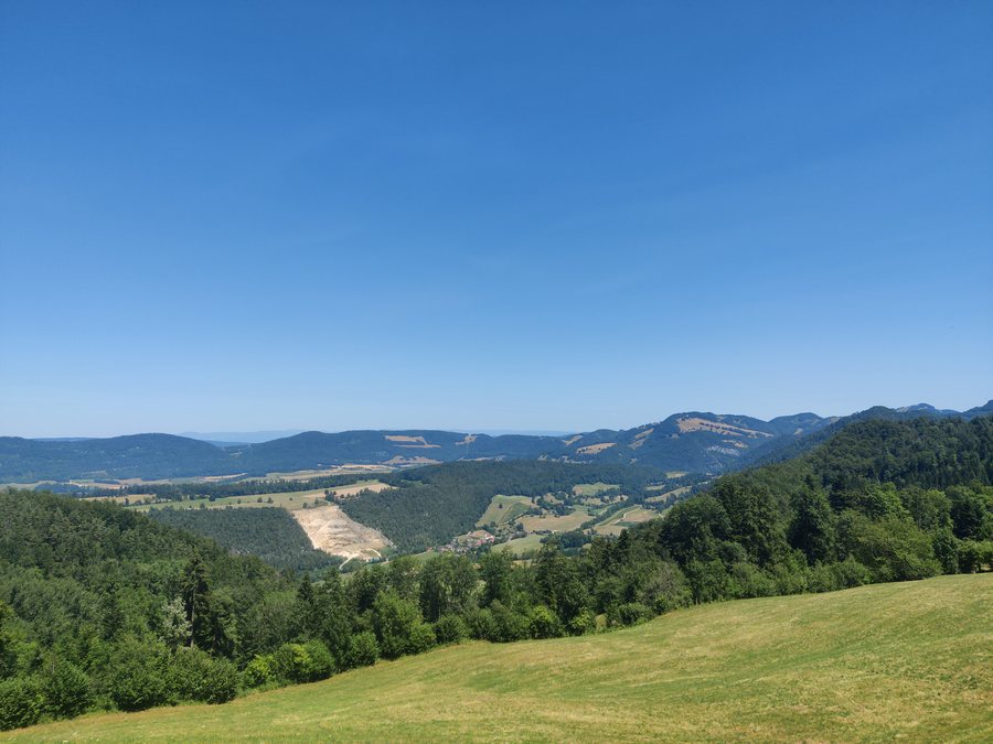 File:Vermes 20260704 133808.jpg