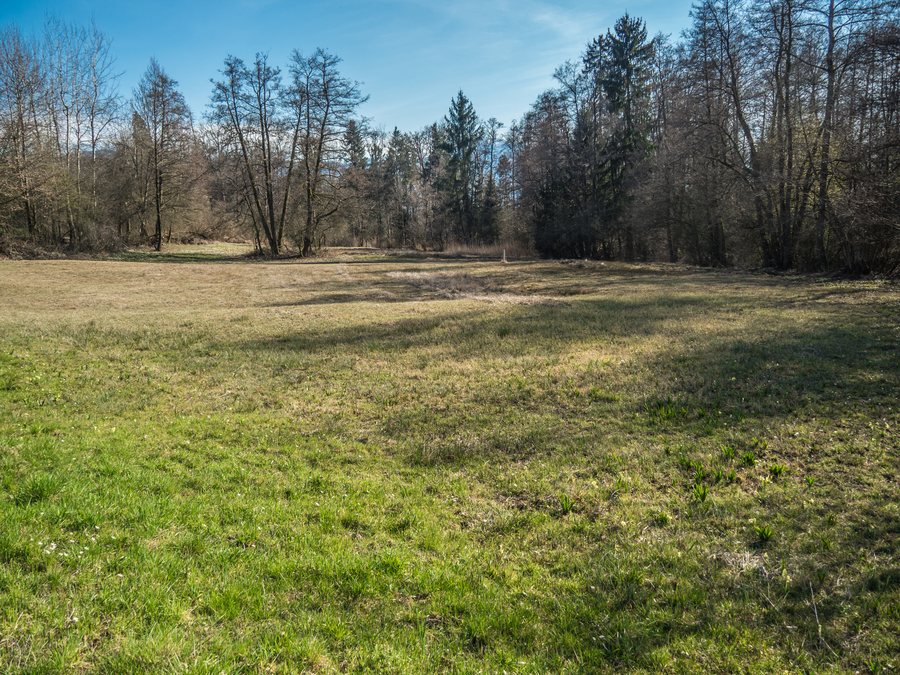 File:Flachmoorgebiet Zimbel, Steinhausen ZG 20230322-jag9889.jpg