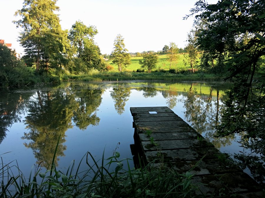 Müliweiher Nottwil