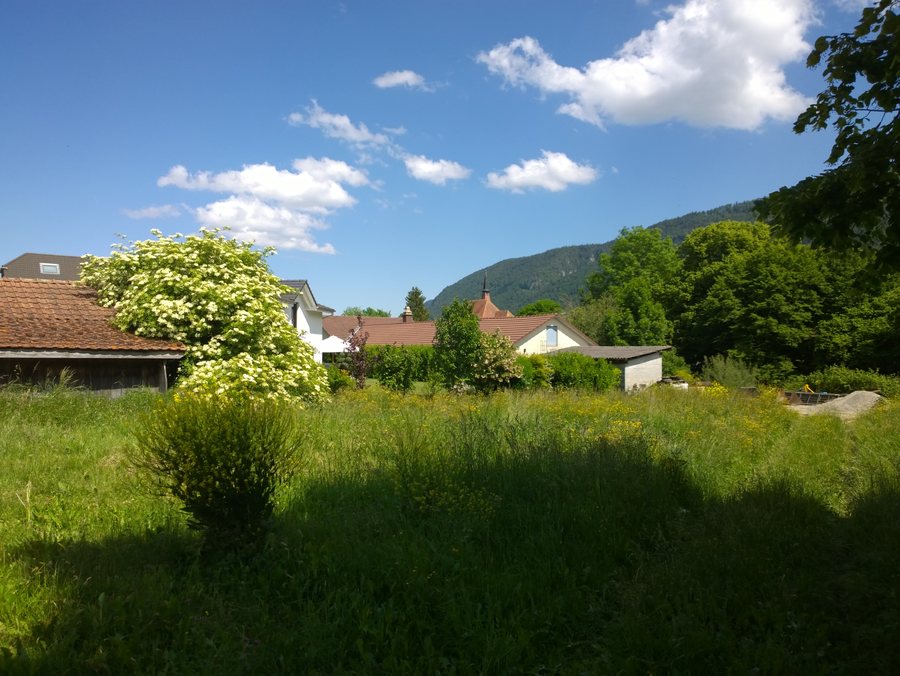 File:Courtelary 2020.jpg