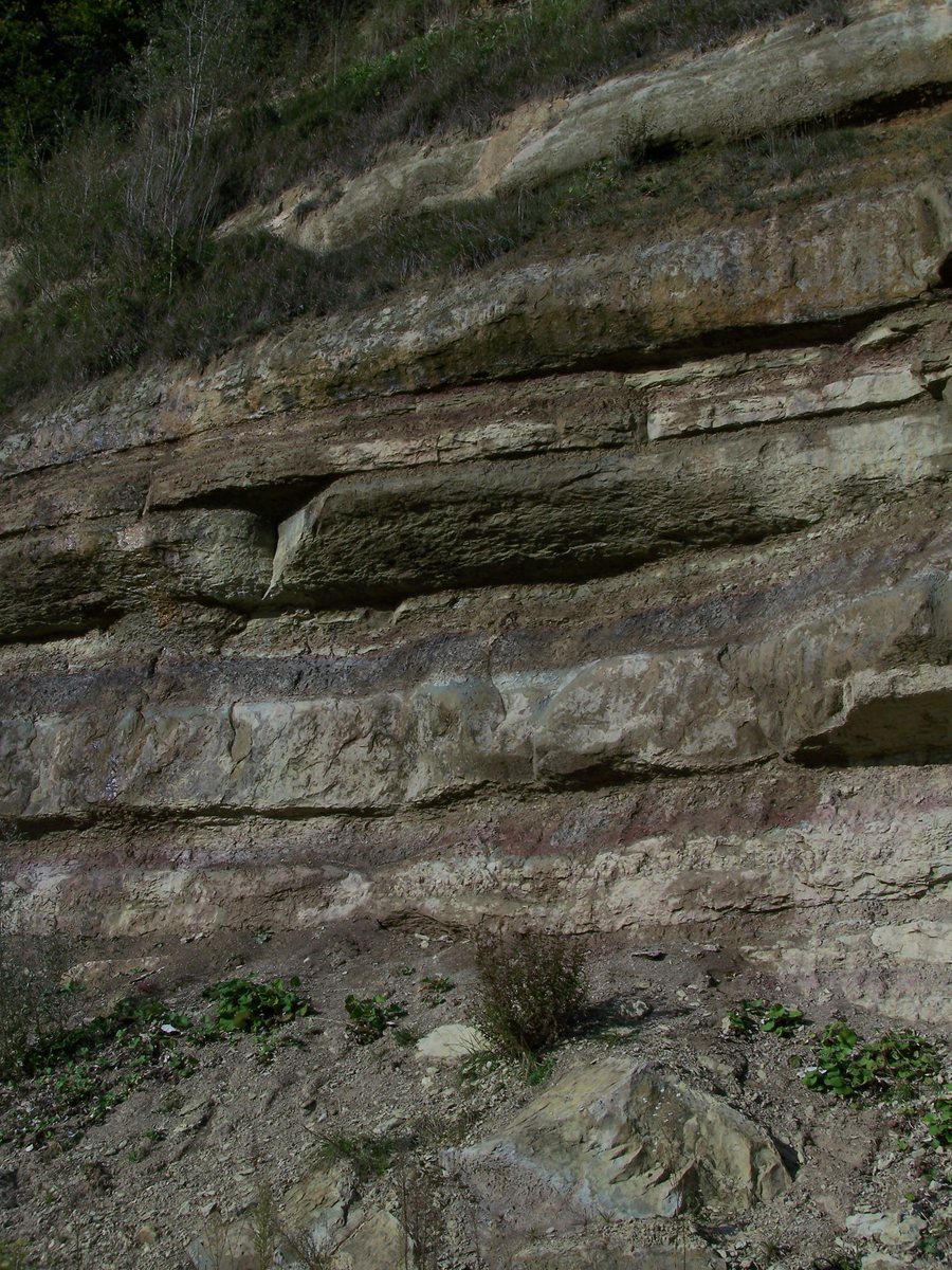 File:USM fluviatile sandstone Wallenried.JPG