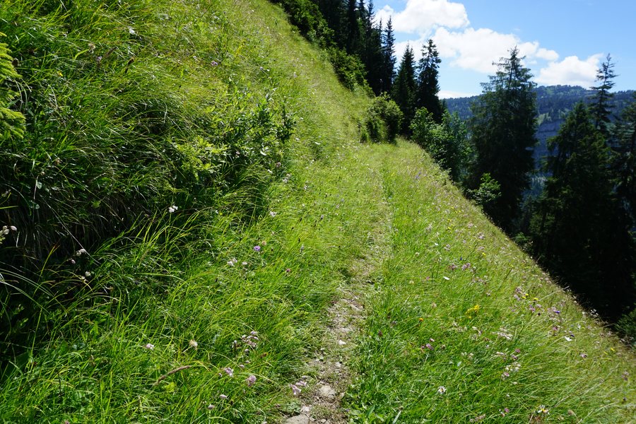 File:Alter Saumpfad Grünenbergpass Innereriz.jpg