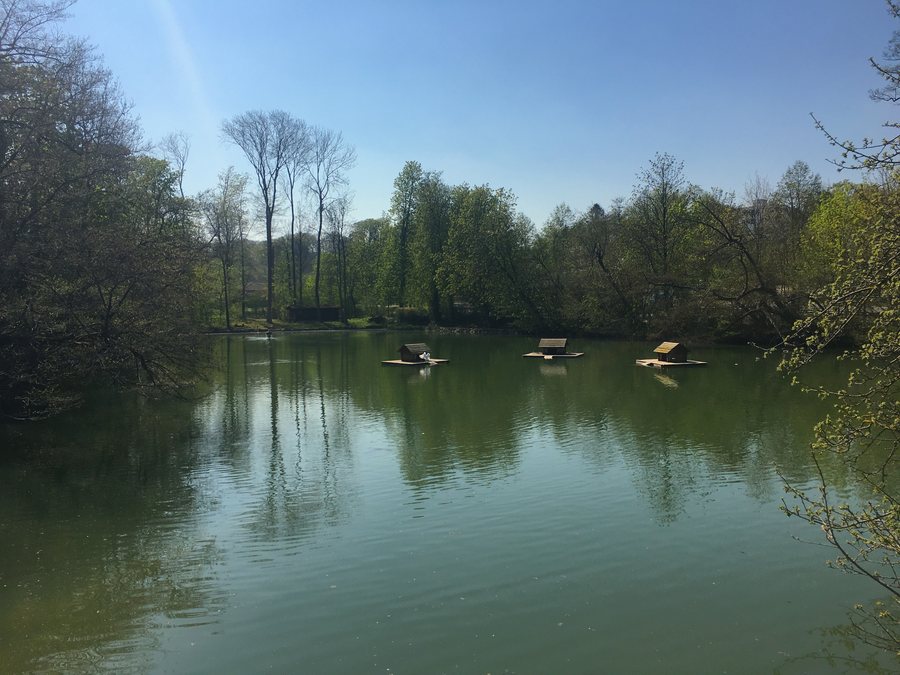 File:Allschwiler Weiher.jpg