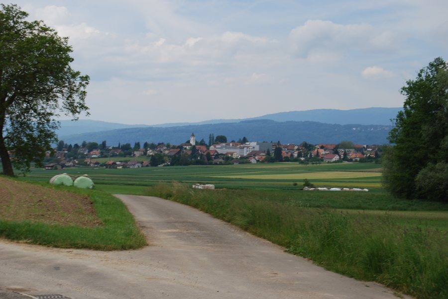 File:2012-05-26-Seeland (Foto Dietrich Michael Weidmann) 320.JPG