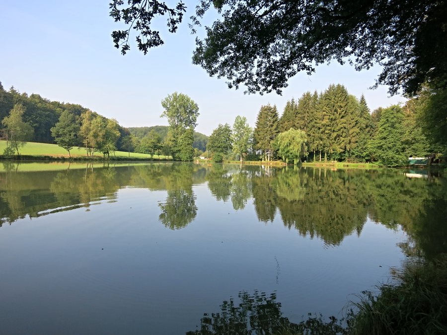 File:Etang de Vendlincourt.JPG