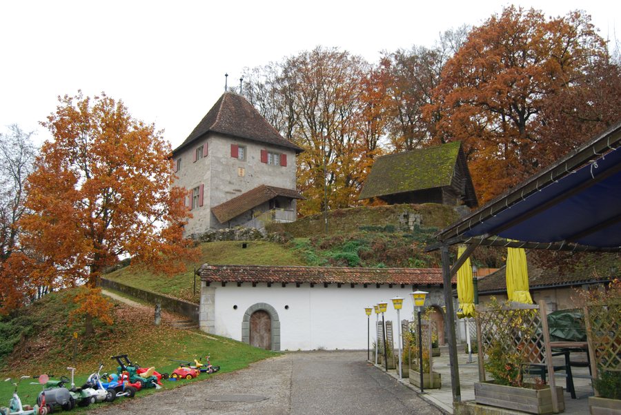 File:2011-11-11-Mezlando (Foto Dietrich Michael Weidmann) 300.JPG