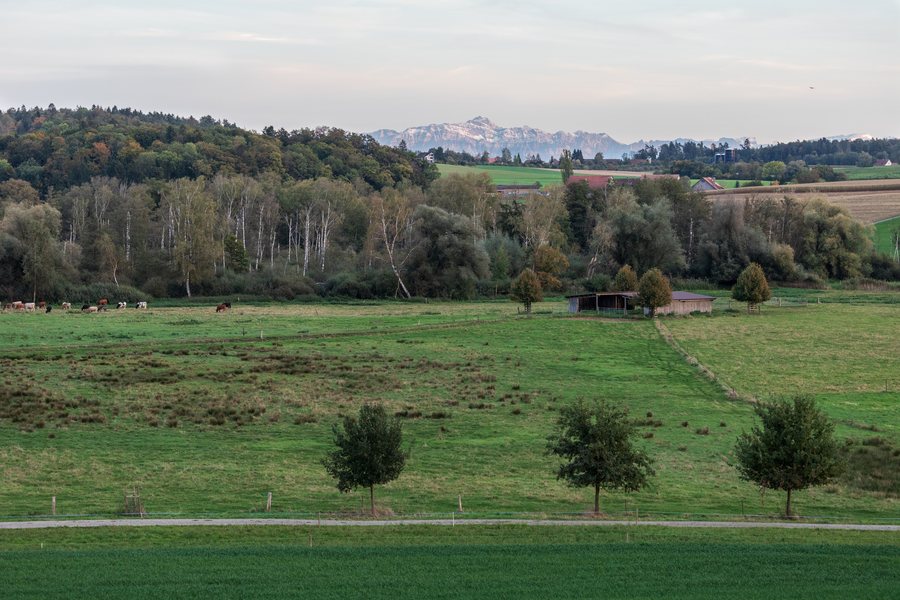 File:Seebachtal in Hüttwilen und Säntis.jpg