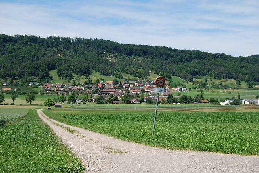 File:Weingarten - komunumo Lommis 089.JPG