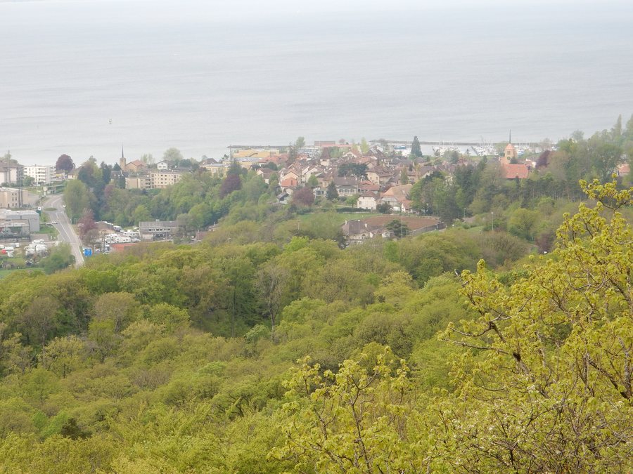 File:Roches de Châtollion - Saint-Blaise.jpg