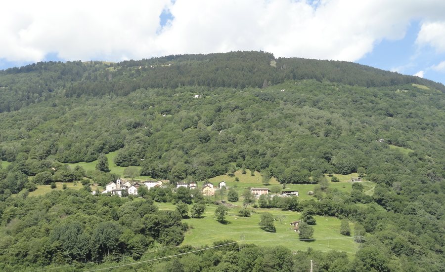 File:Largario TI.JPG
