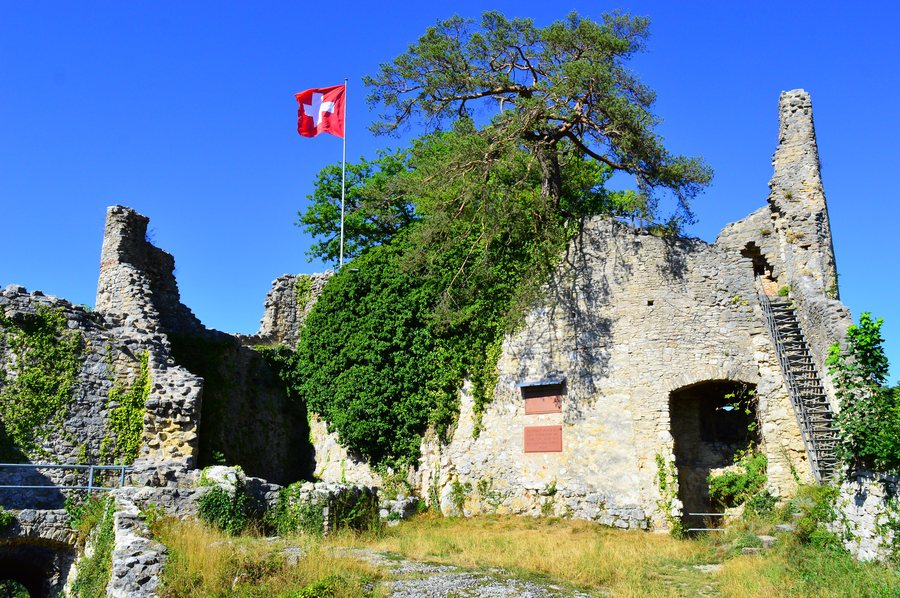 Ruine Dorneck in Dornach