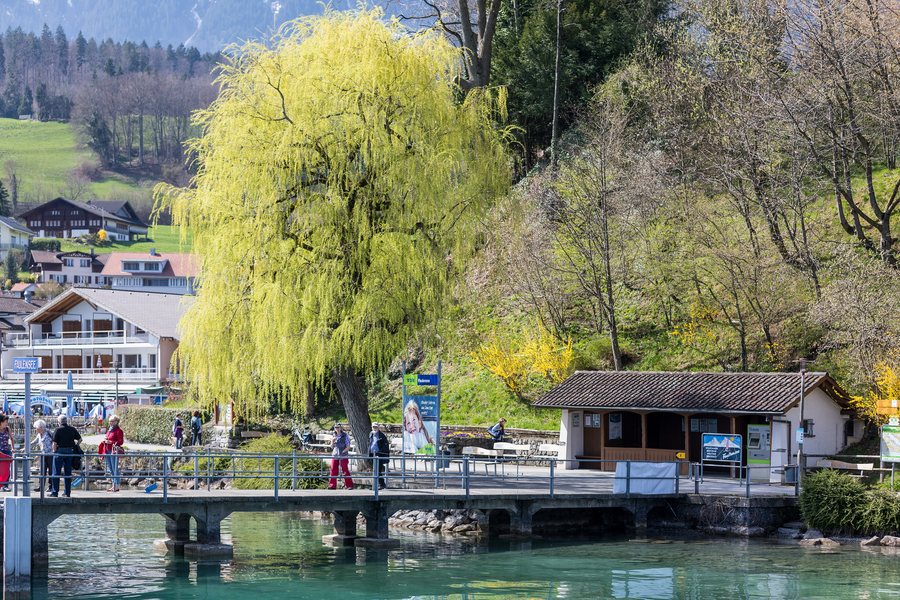 Schifflände Faulensee am Thunersee (Kanton Bern, 2017)