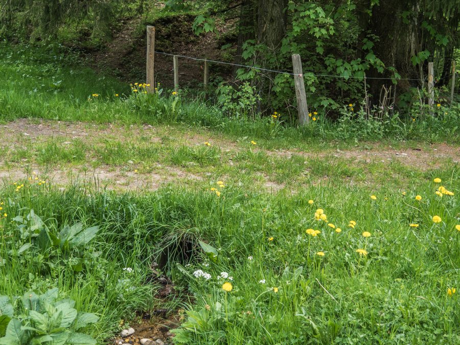 Boalp-Brücke über die Vordere Töss, Hintergoldingen SG