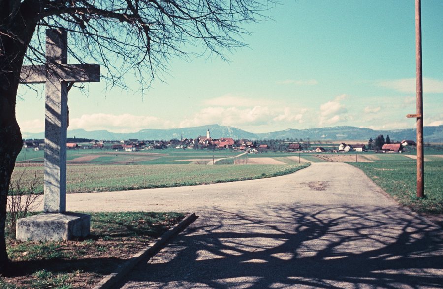 File:Zentralbibliothek Solothurn Ernst Klöti 0700 Aeschi.jpg