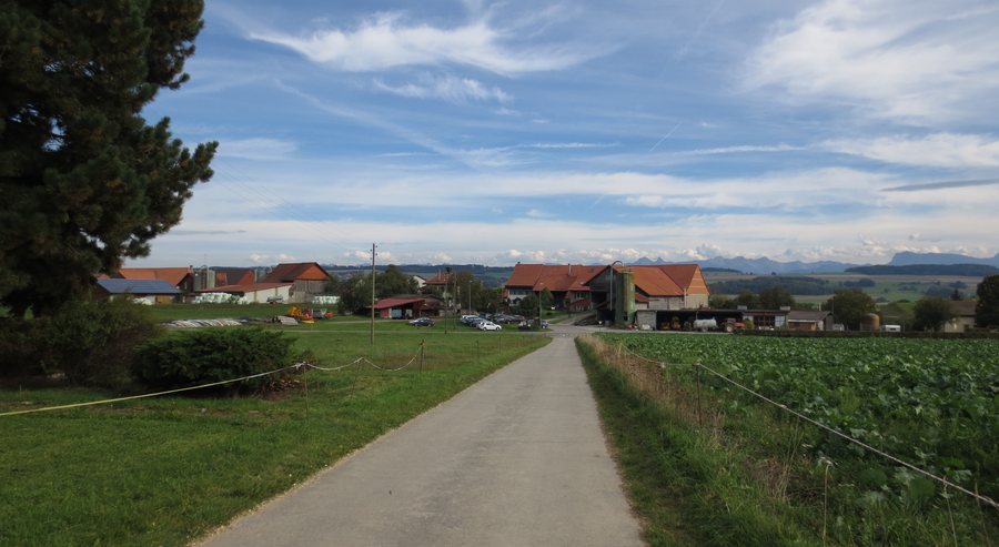 File:Cremin1.JPG