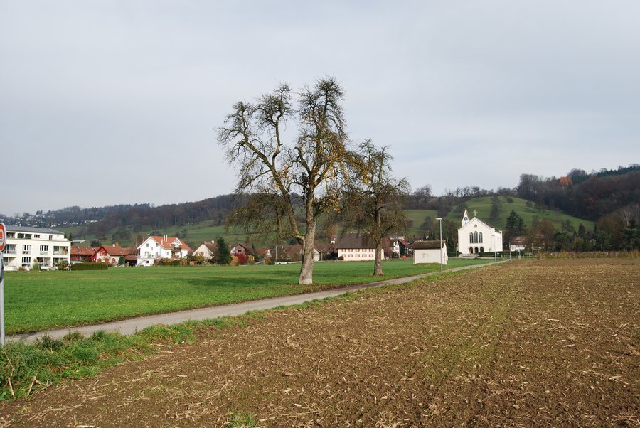 File:Zufikon vilagho kaj preghejo 166.jpg