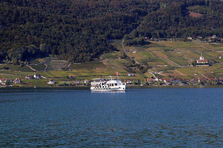 View over Lake Biel and Ligerz