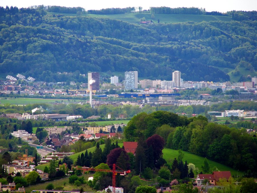 File:Spreitenbach - Käferberg IMG 2365.JPG