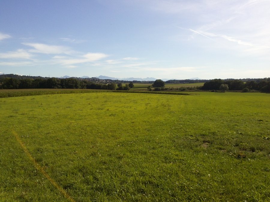 Landscape in the Gros-de-Vaud