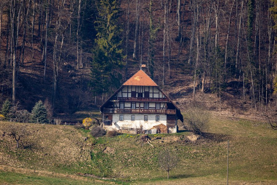 Bauernhaus (Neuhaus 1, Toffen)