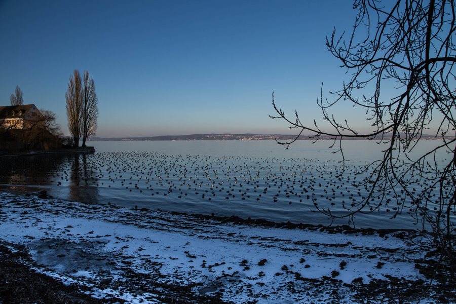 File:8 Münsterlingen.jpg